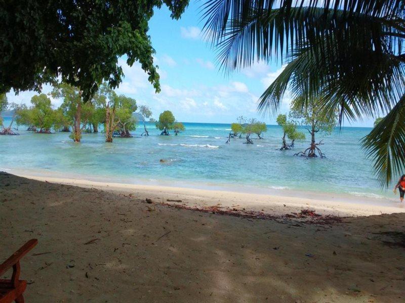 Coconhuts Beach Resort Lakshmanpur Exteriör bild