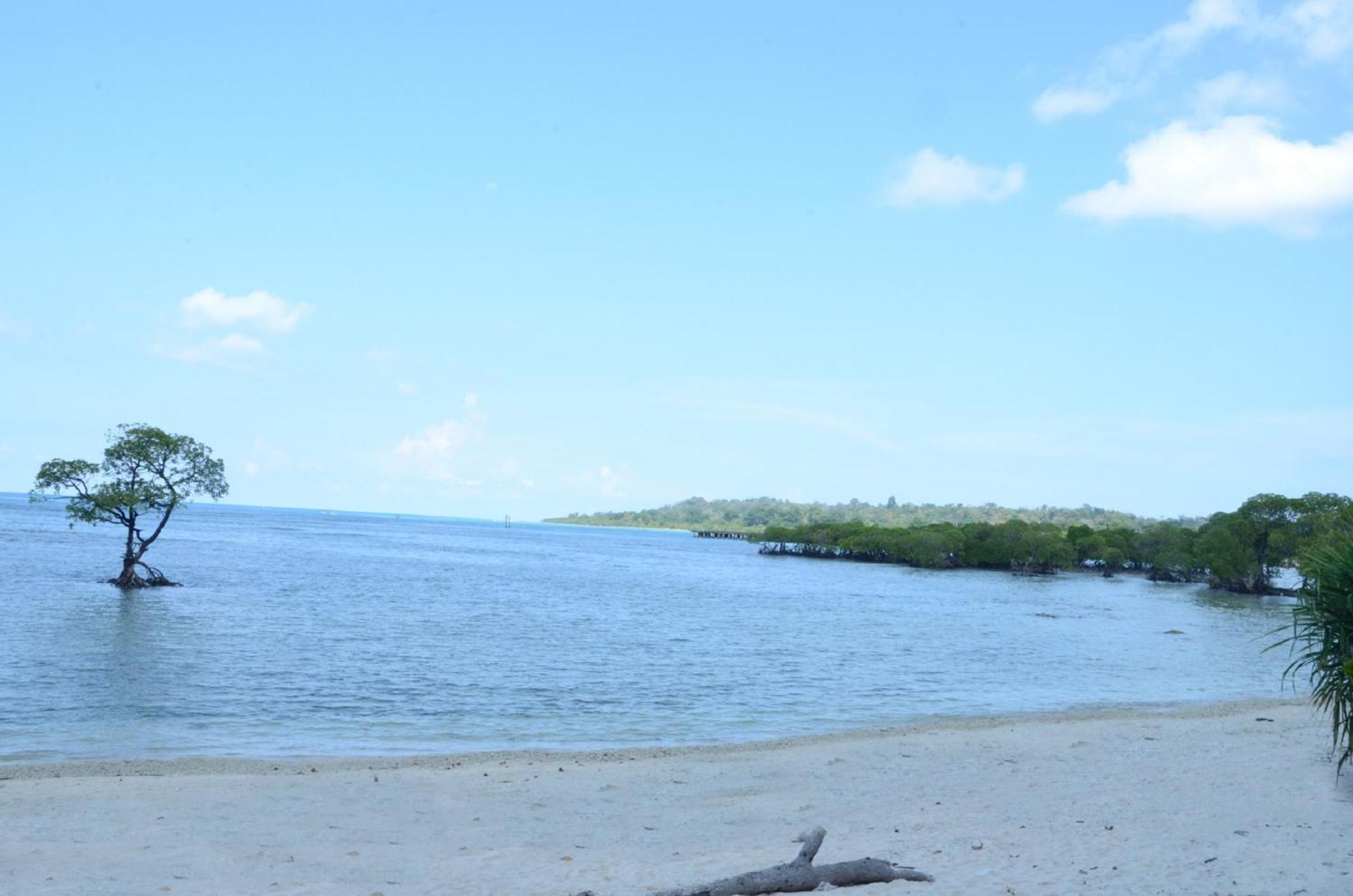 Coconhuts Beach Resort Lakshmanpur Exteriör bild