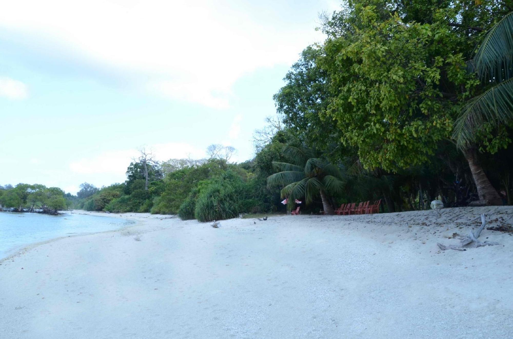 Coconhuts Beach Resort Lakshmanpur Exteriör bild