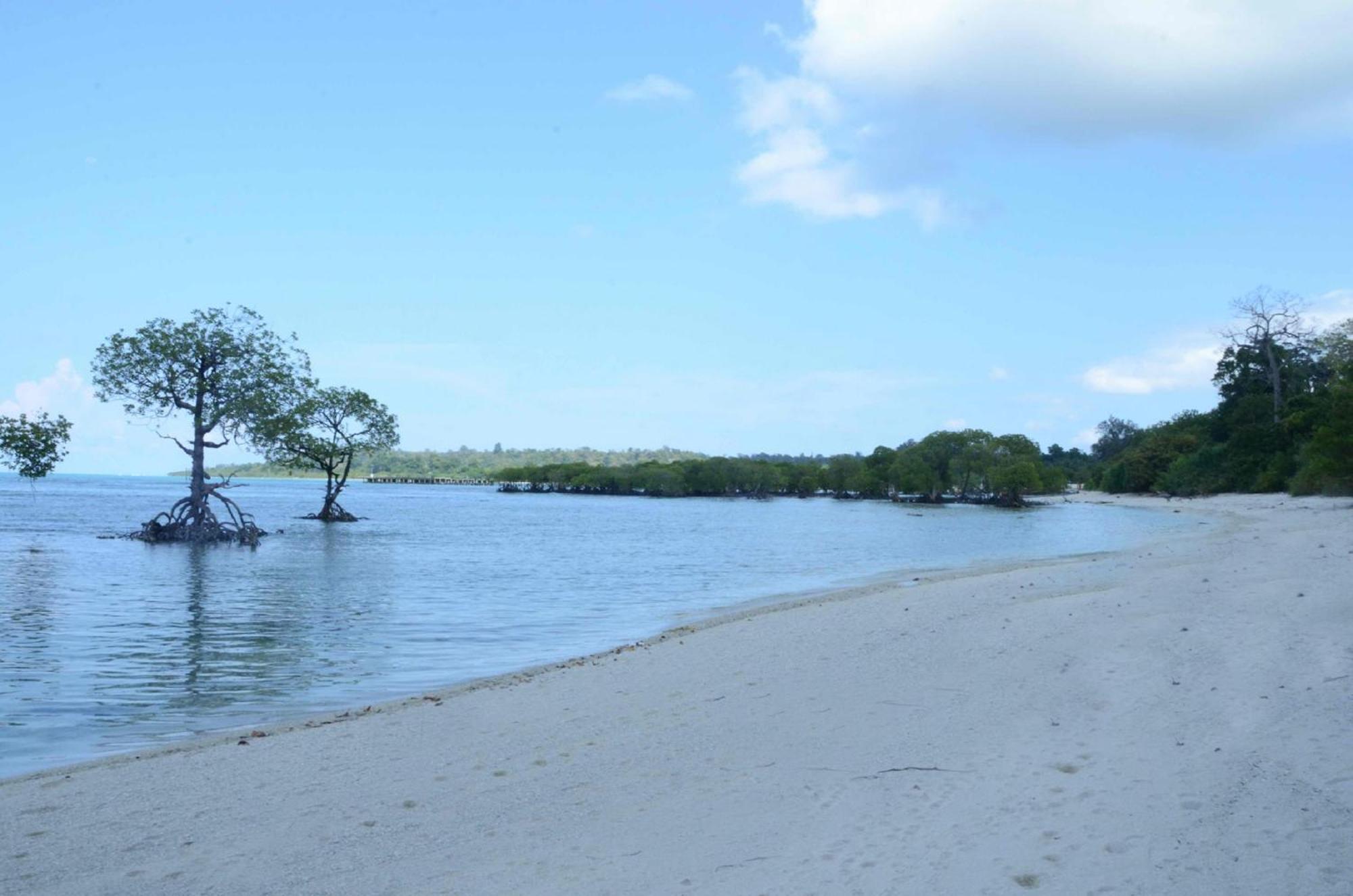 Coconhuts Beach Resort Lakshmanpur Exteriör bild