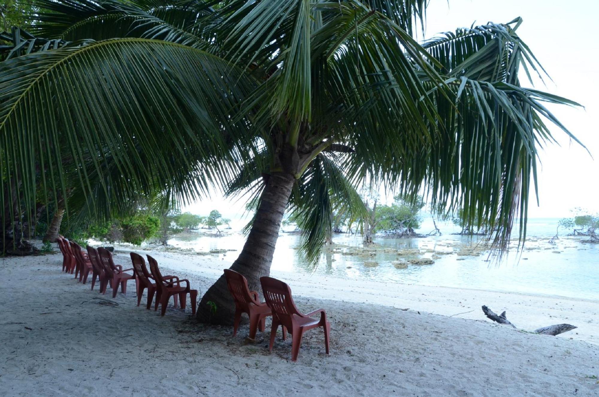 Coconhuts Beach Resort Lakshmanpur Exteriör bild