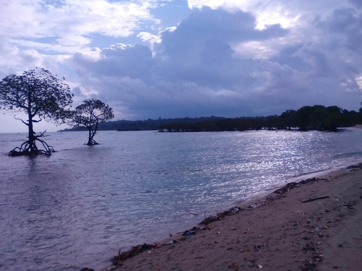 Coconhuts Beach Resort Lakshmanpur Exteriör bild